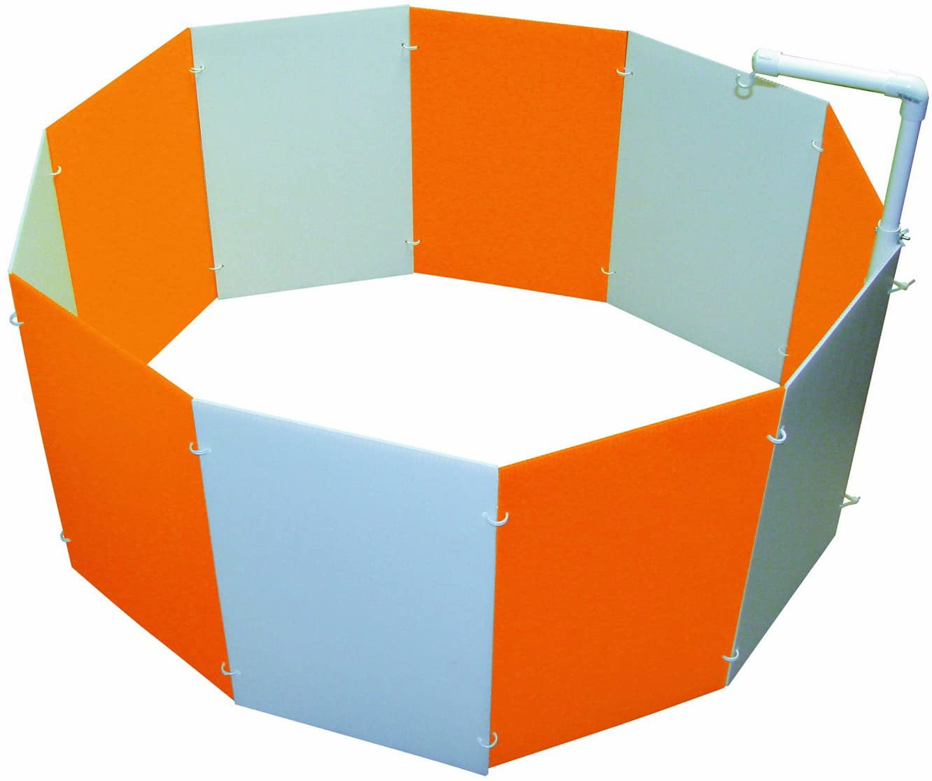 Baby Chick Starter Home Orange and White 3700