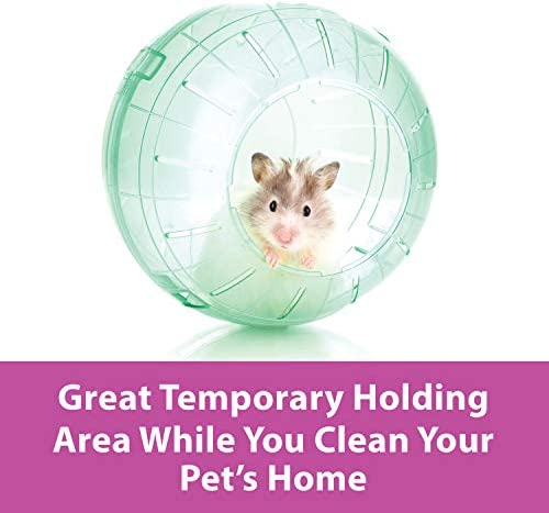 Kaytee Run-About Ball Clear With Bonus 7 Inches