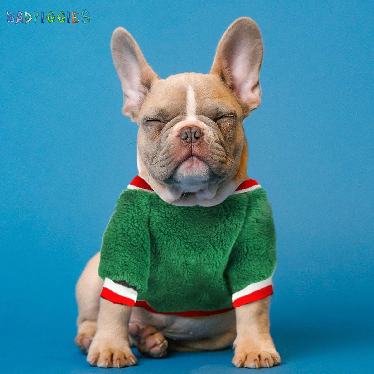 BadPiggies Pet Dog Fleece Sweater Winter Clothes Warm Thickening Coat Jacket Xmas Reindeer Pajamas for Puppy Small Dog Cat (XS， Red)