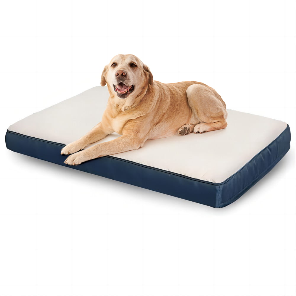 Dog Bed Orthopedic Egg-Crate Foam with Removable Washable Cover，Blue Medium 30