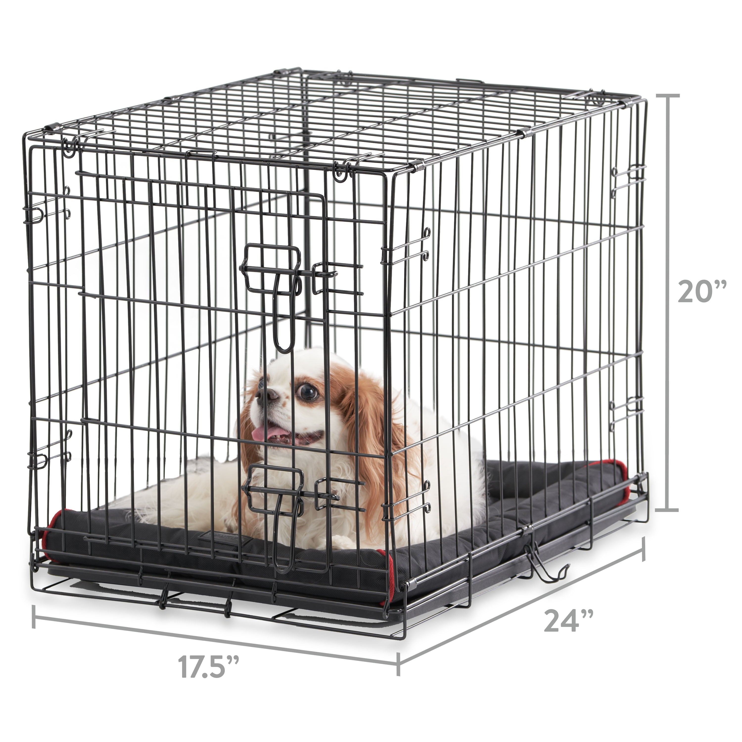 Vibrant Life， Single-Door Folding Dog Crate with Divider， Medium， 30