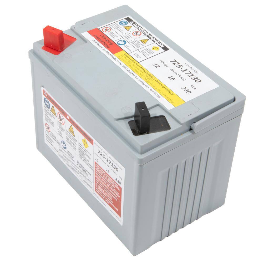 MTD Genuine Factory Parts Replacement 12-Volt 16 Ah 230 CCA Sealed AGM Riding Lawn Mower Battery 725P17130