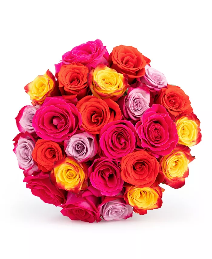 BloomsyBox Kaleidoscope Roses Fresh Flower Bouquet