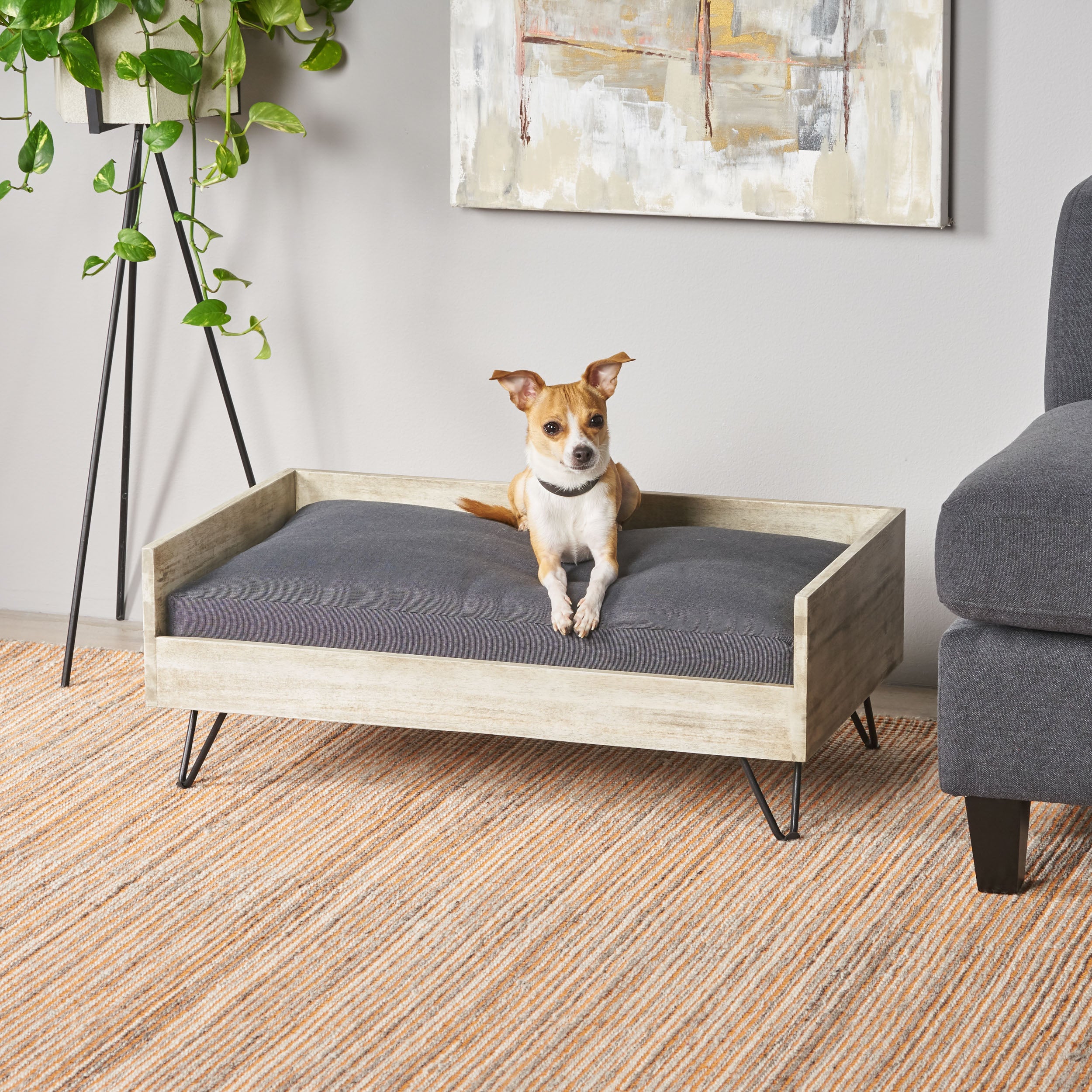 GDF Studio Cheval Mid Century Modern Acacia Wood Pet Bed with Cushion， Light Gray and Gray