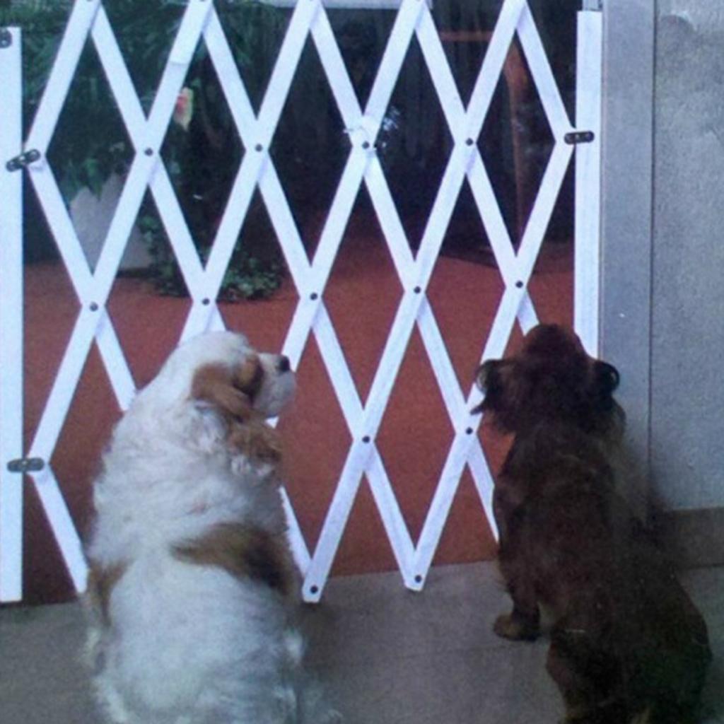 Dogs Gate for Doorway， Stairs， Foldable Wooden ， Pet Puppy Fence