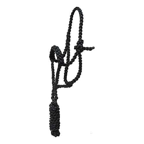 Mustang Pony Flat Nylon Noseband Halter Black