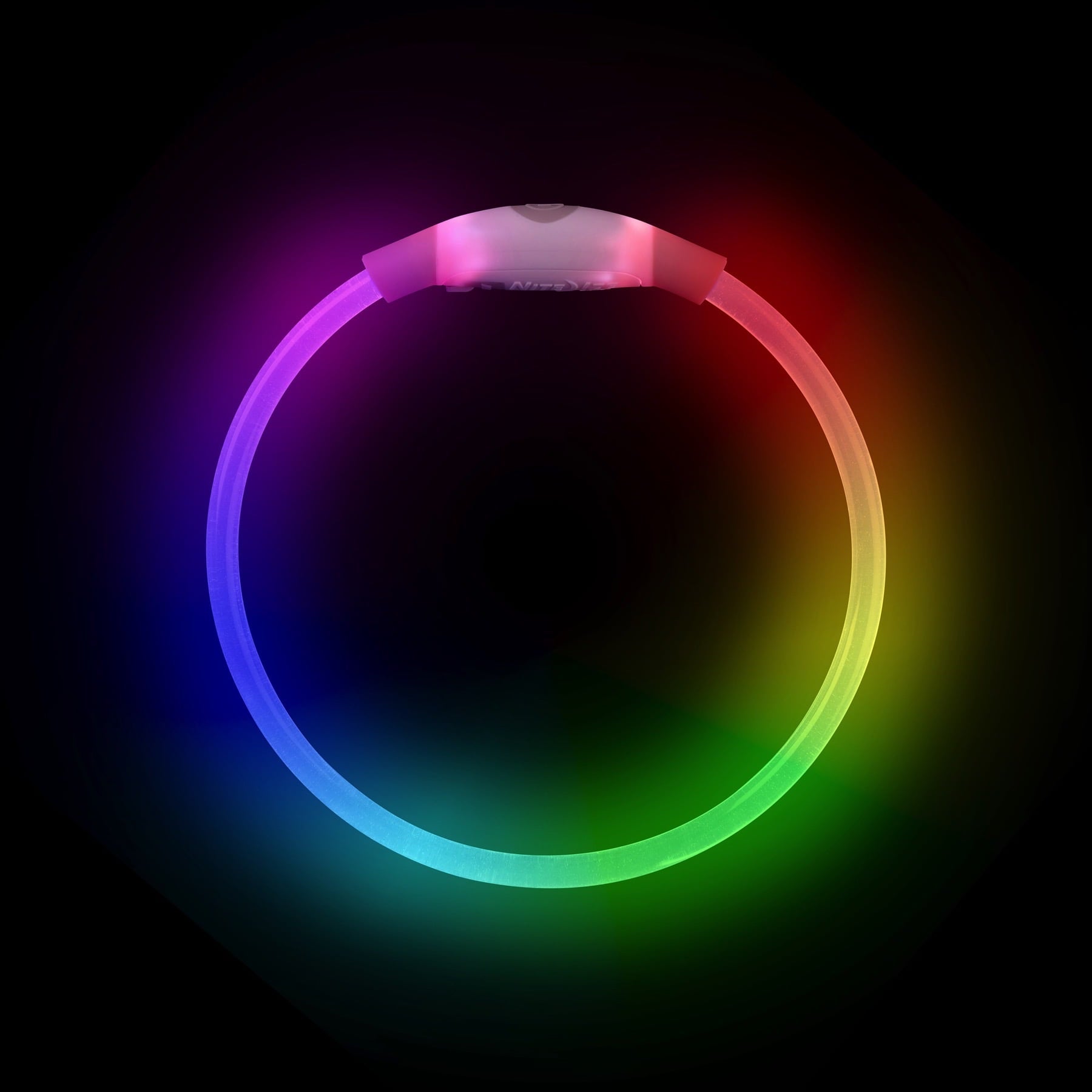 NiteHowl Mini Rechargeable LED Safety Dog Collar - Disc-O Select