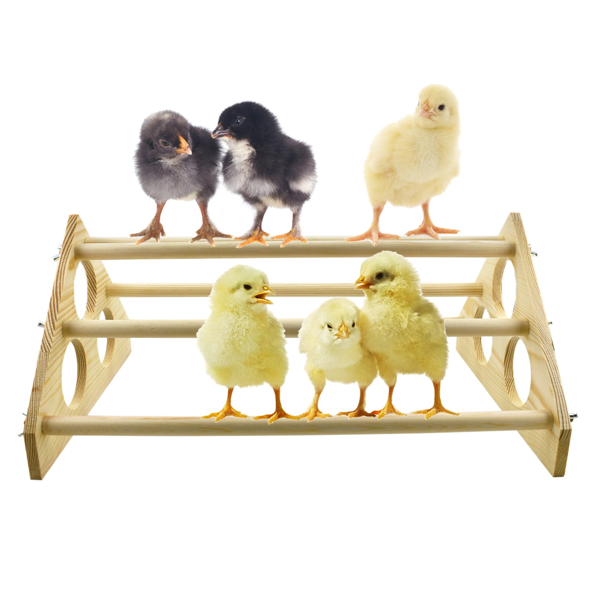 Vehomy Chicken Perch for Chicks Chicken Wood Stand with Holes Chick Stand Trainning Perch Chicken Roost bar for Chicks Chicken Swing Chicken Toy for Hens