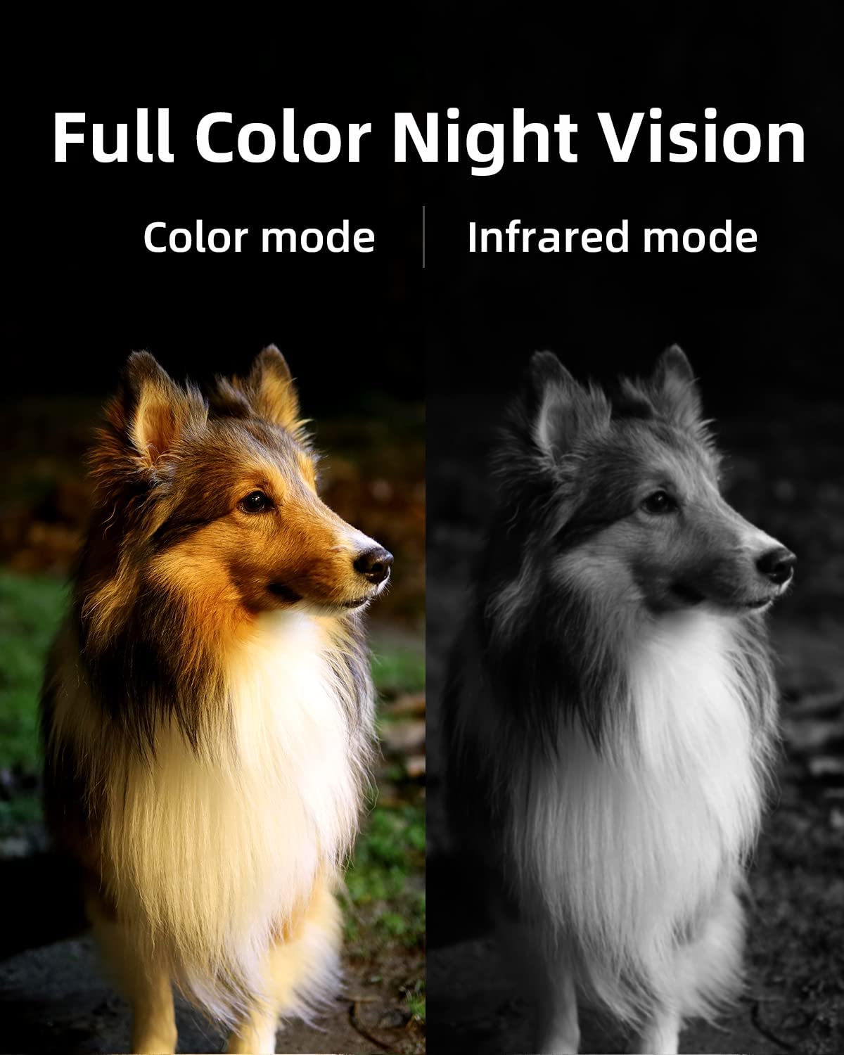 Noorio 2K Ultra Floodlight Wireless Battery Security Cameras and Hub System， 32GB Storage， Screw Mount， B310 and H100