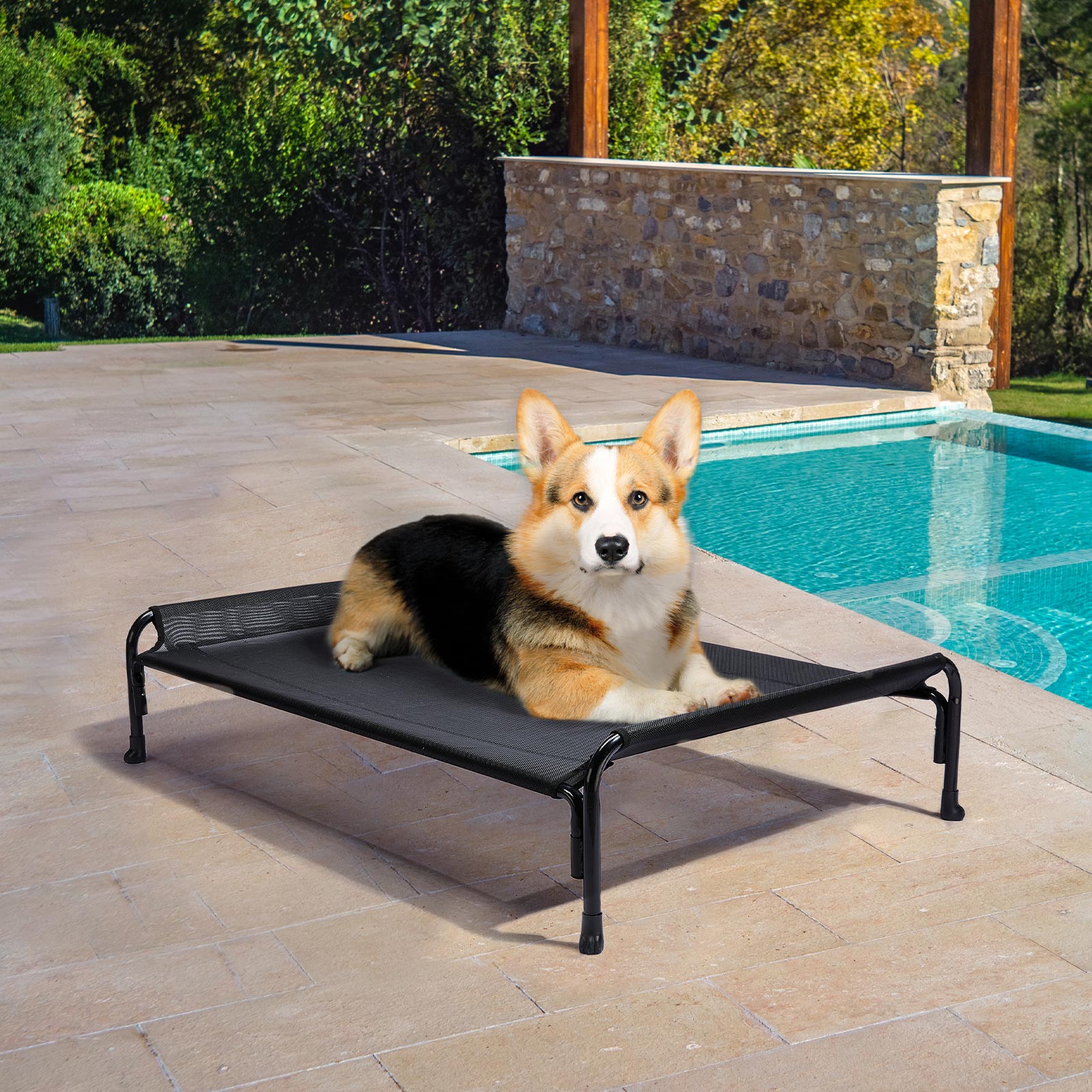 Veehoo Cooling Elevated Dog Bed， Chew Proof Dog Cot with Washable Mesh， Medium， Black