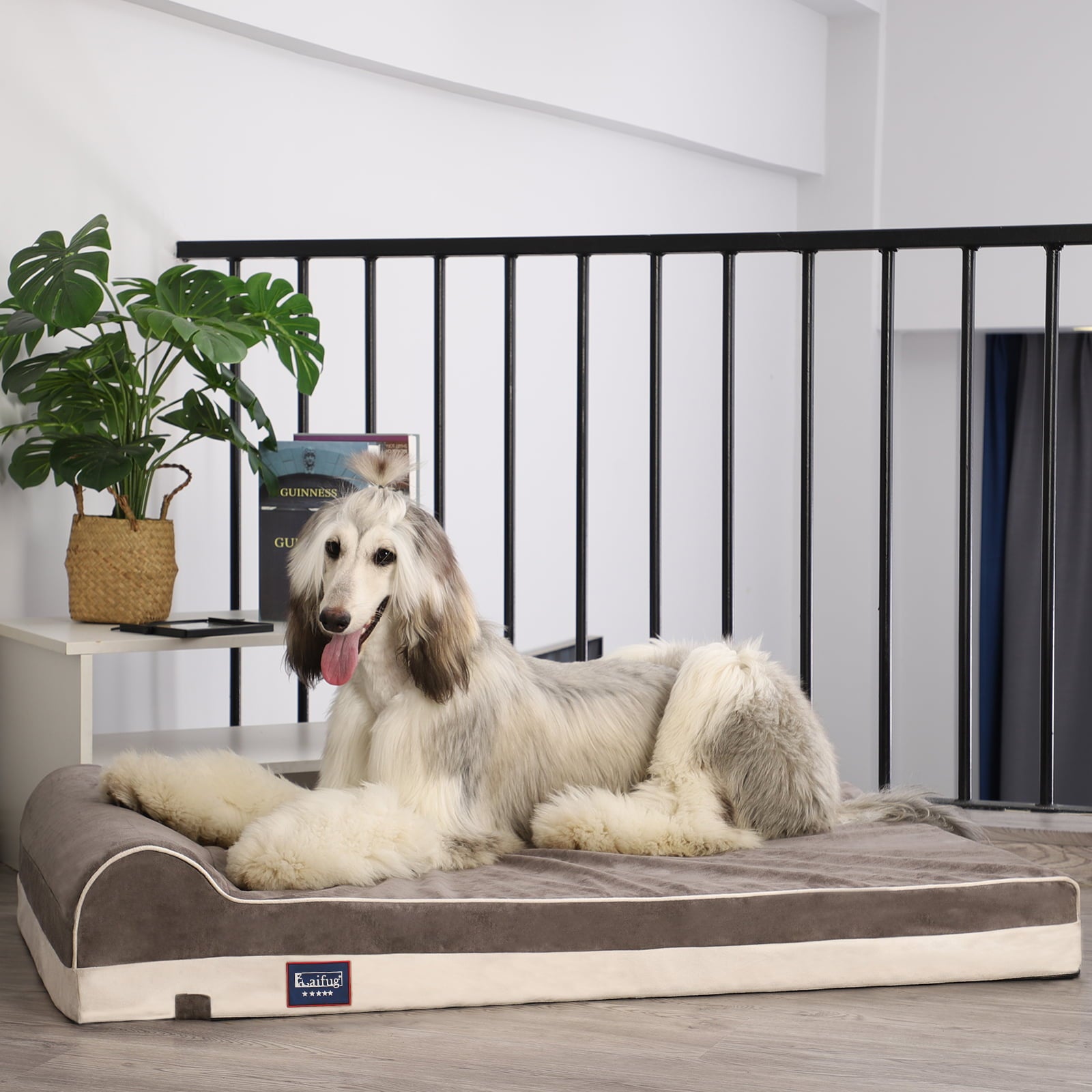 Laifug Orthopedic Memory Foam Extra Large Dog Bed with Pillow and Durable Water Proof Liner and Removable Washable Cover