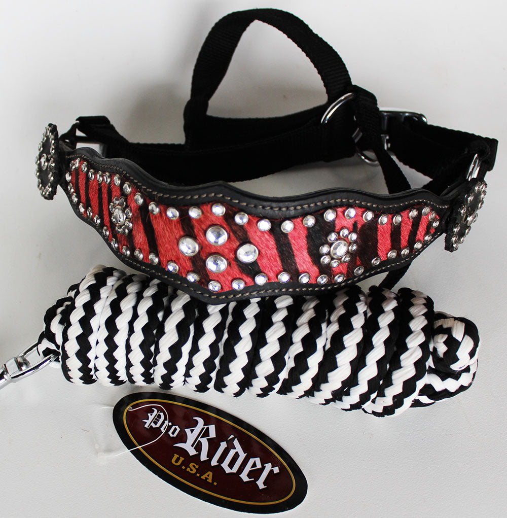 Horse  Noseband Tack Bronc Leather HALTER Tiedown Lead Rope  280325