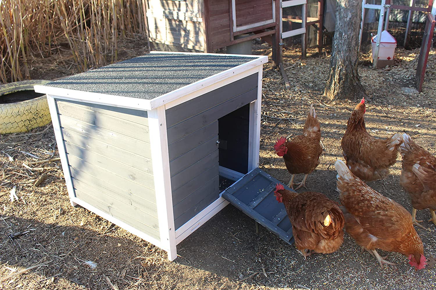 Zylina Nesting and Roosting Box Wood Chicken Coop for Chickens