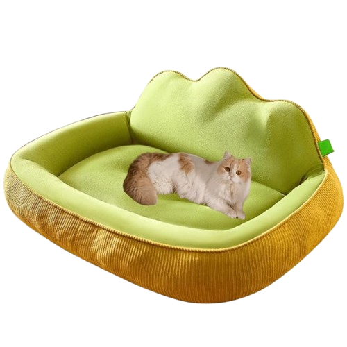 Orthopedic Dog Bed | Washable Anti-Slip Velvet Bed for Small & Large Pets
