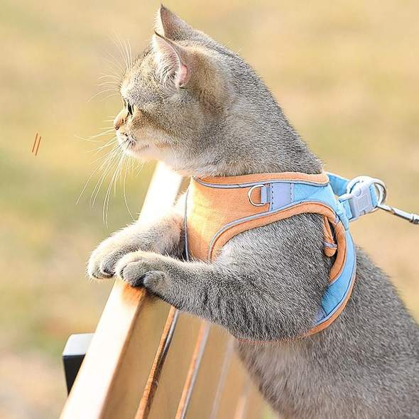 Cat Vest Harness and Leash Set