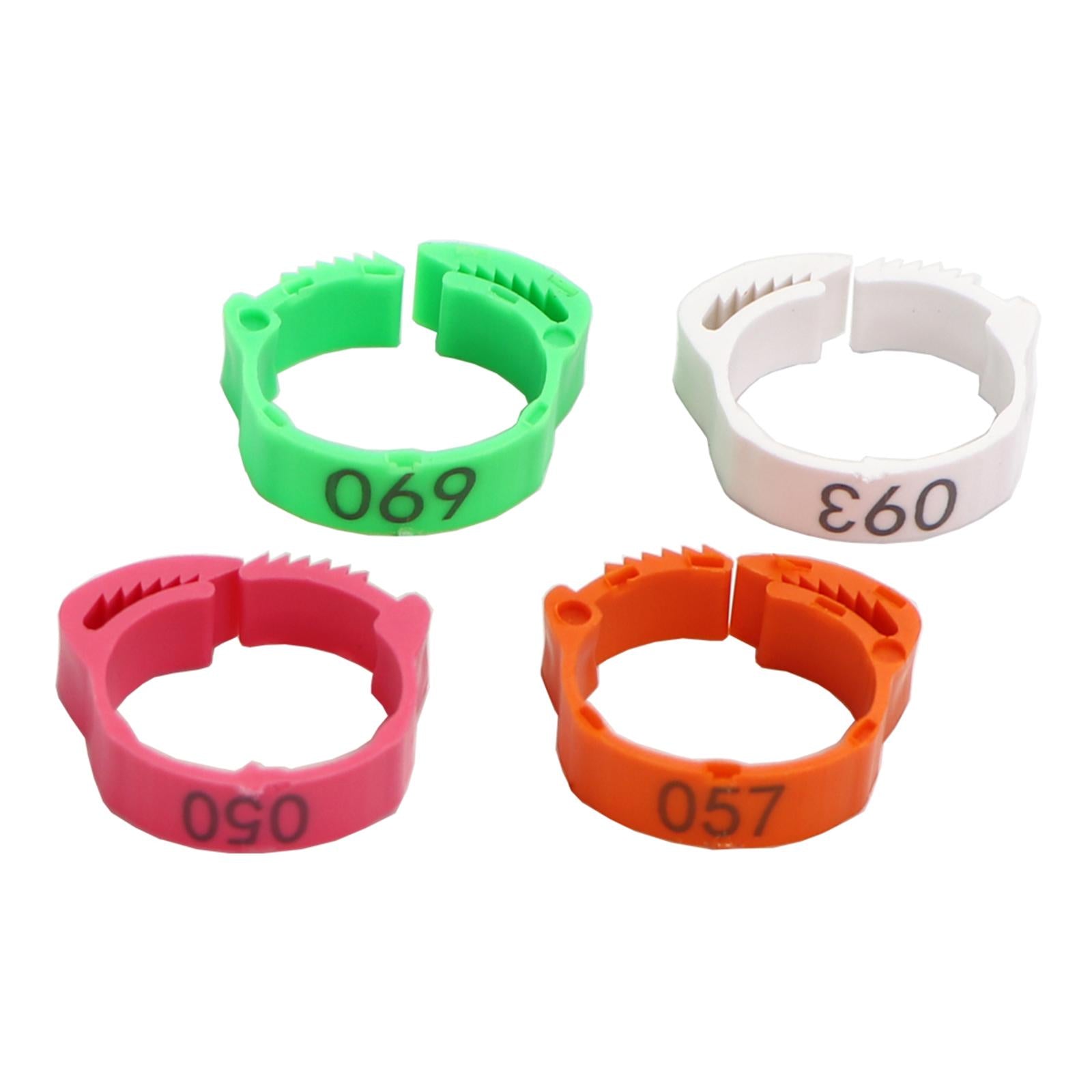 100PCS Colorful Poultry Leg Bands，Identification Finch Small Home Chicken Foot s，for ，Dove，Chicks，Bantam，Quail，Lovebirds - Rose Red， 2.8x2.6cm