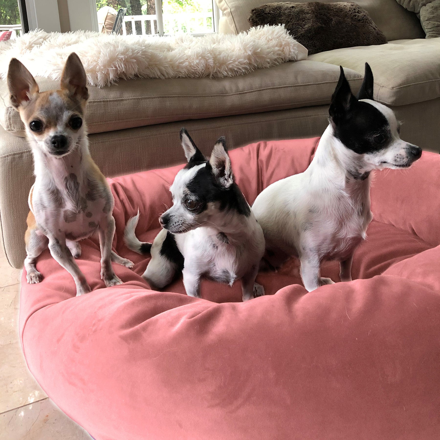 Luxury Velvet Dog Bed， Washable Cloud-Like Memory Foam， Size Medium in Blush