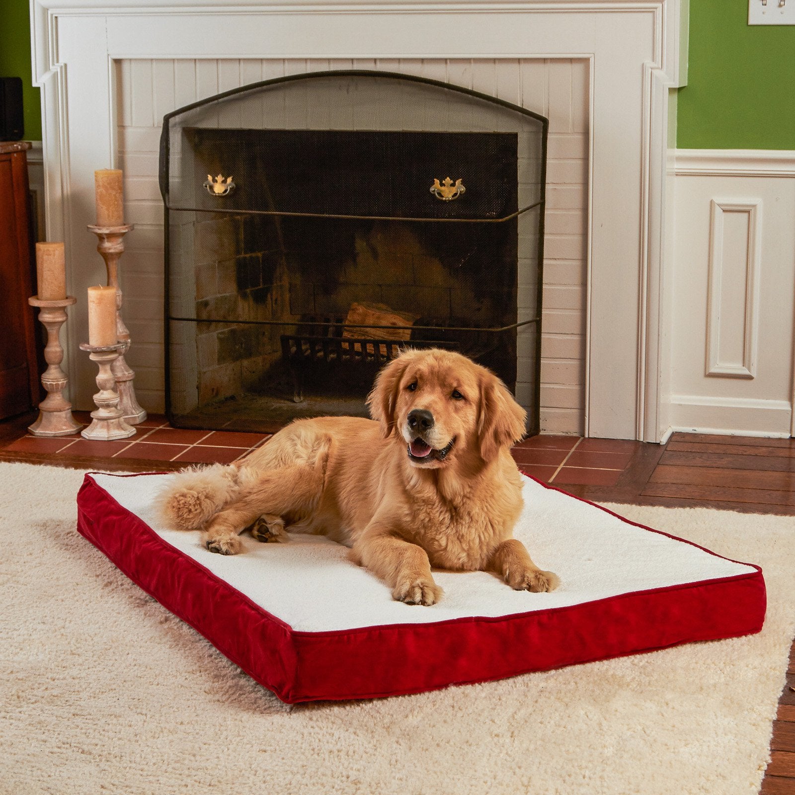 Happy Hounds Oscar Orthopedic Dog Bed， Small， Latte