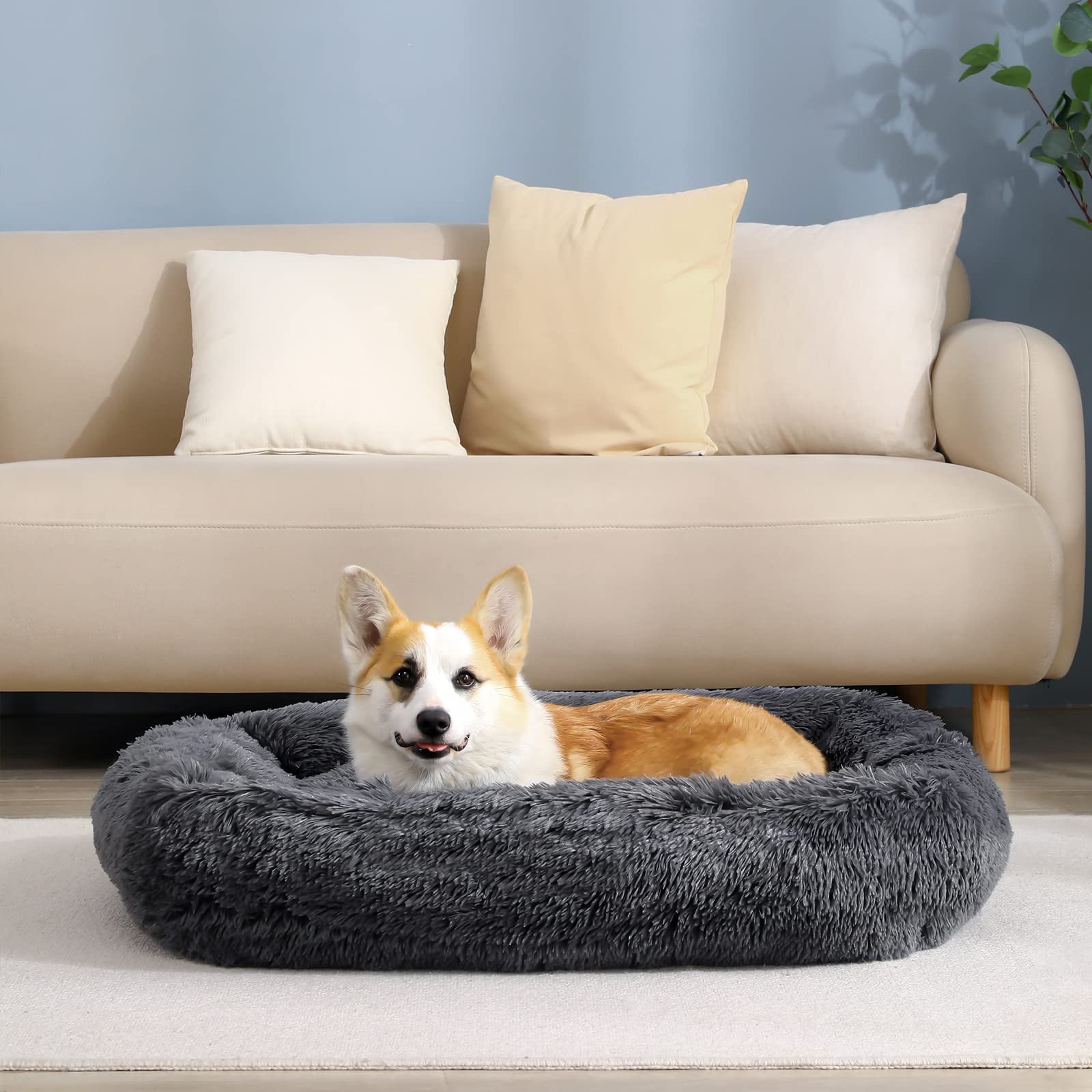 Rectangle Plush Dog Bed Cat Beds for Small Dogs，Washable Medium Pet Beds Medium（26x22x7in，Under 25 lbs）， Darkgrey