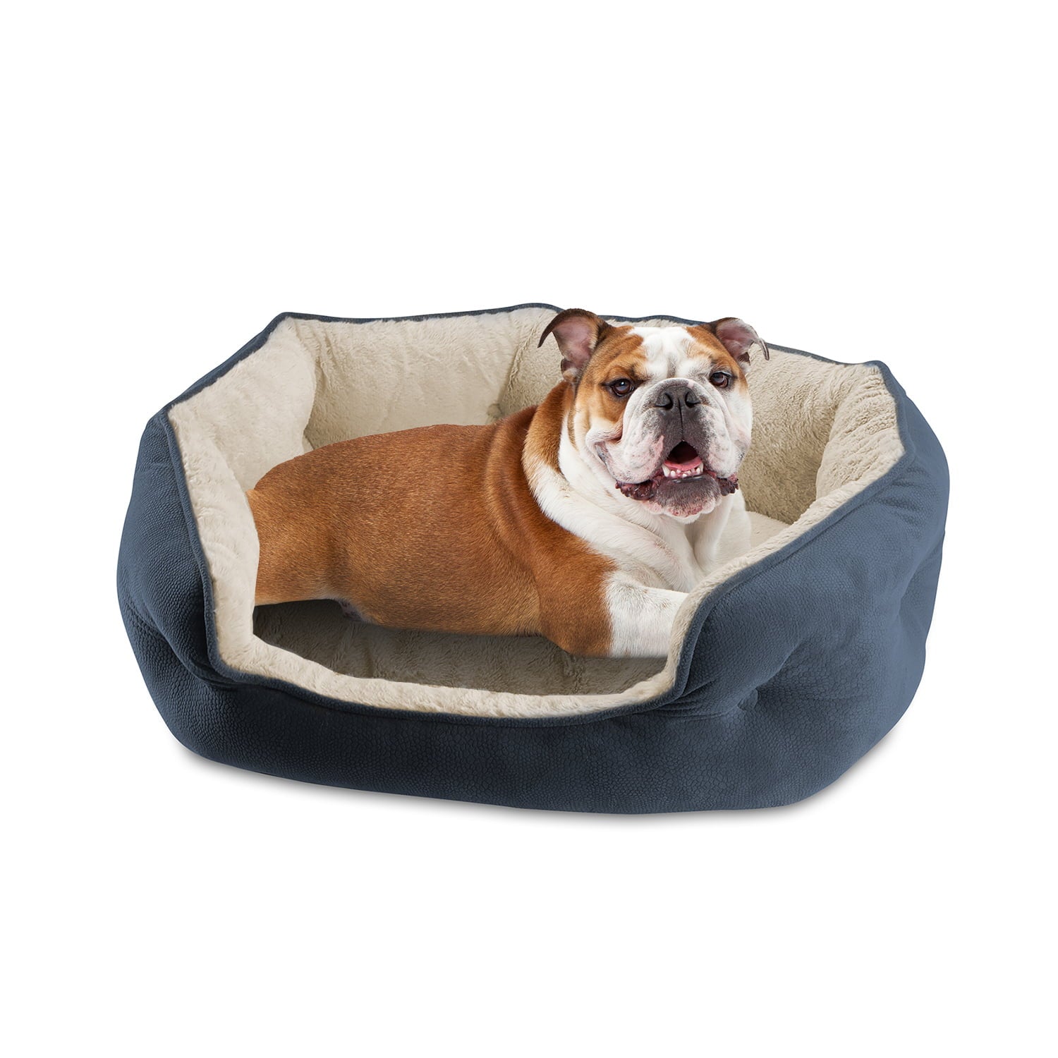 Canine Creations Arlee Cozy Oval Round Cuddler Dog Bed - Memory Foam - Chew Resistant - Medium， Large (choose your color)