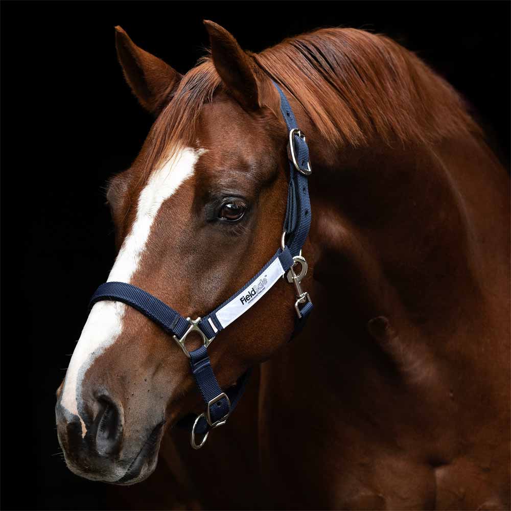 Cob Size Horseware Field Safe Headcollar Halter Red