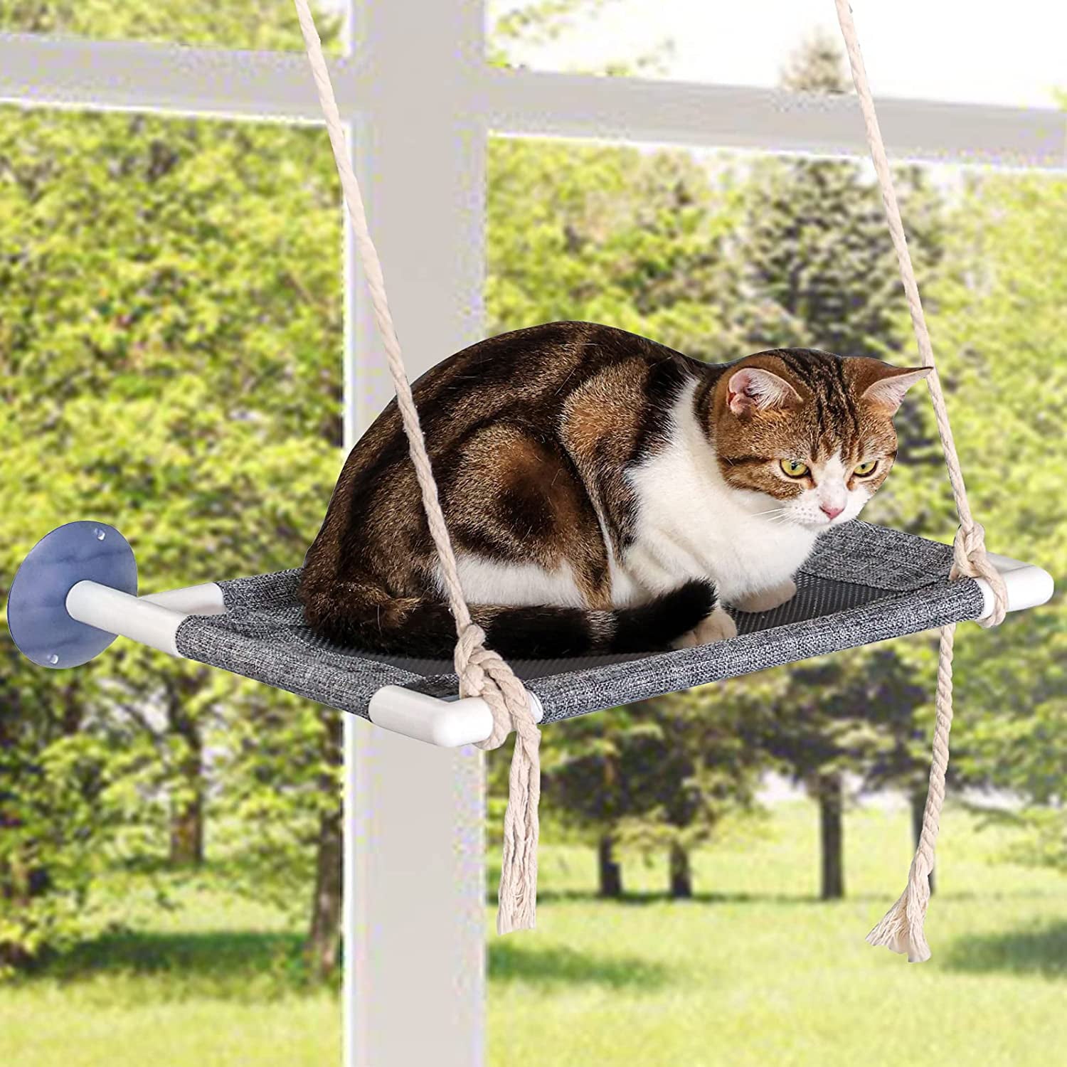 YOYTOO Cat Window Perch， Cat Window Hammock Cat Mounted Seat Bed Shelf for Medium Large Cat