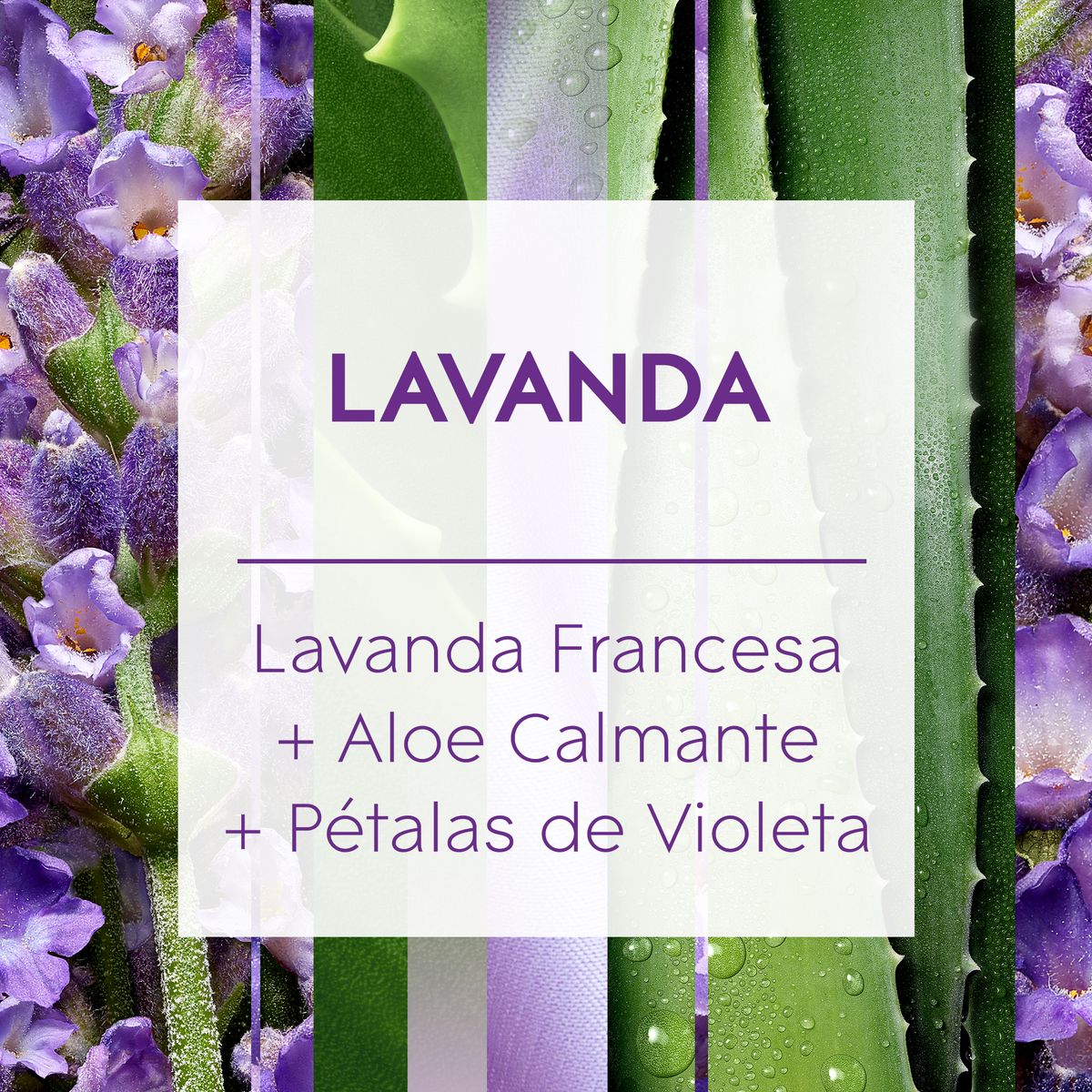 Desodorizador Glade Difusor Lavanda 100ml