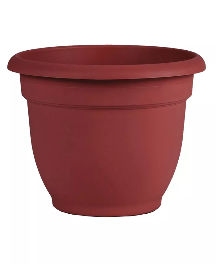 Bloem AP1013 Ariana Planter with Self-Watering Disk， Burnt Red - 10 inches