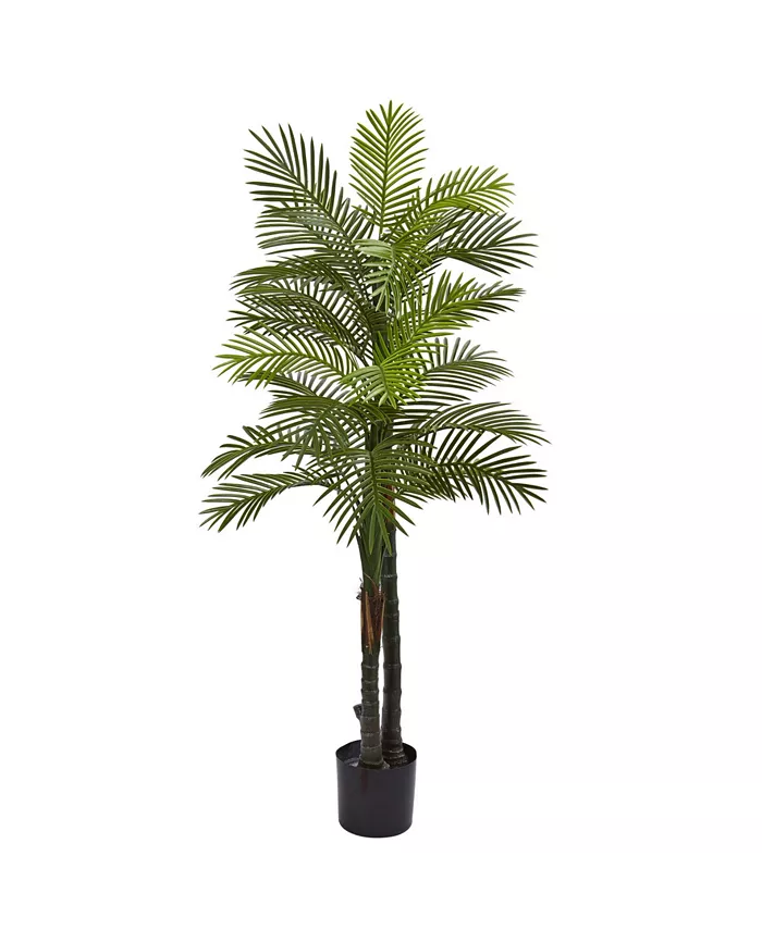 Nearly Natural 5.5’ Indoor Outdoor UV-Resistant Artificial Double Robellini Palm Tree
