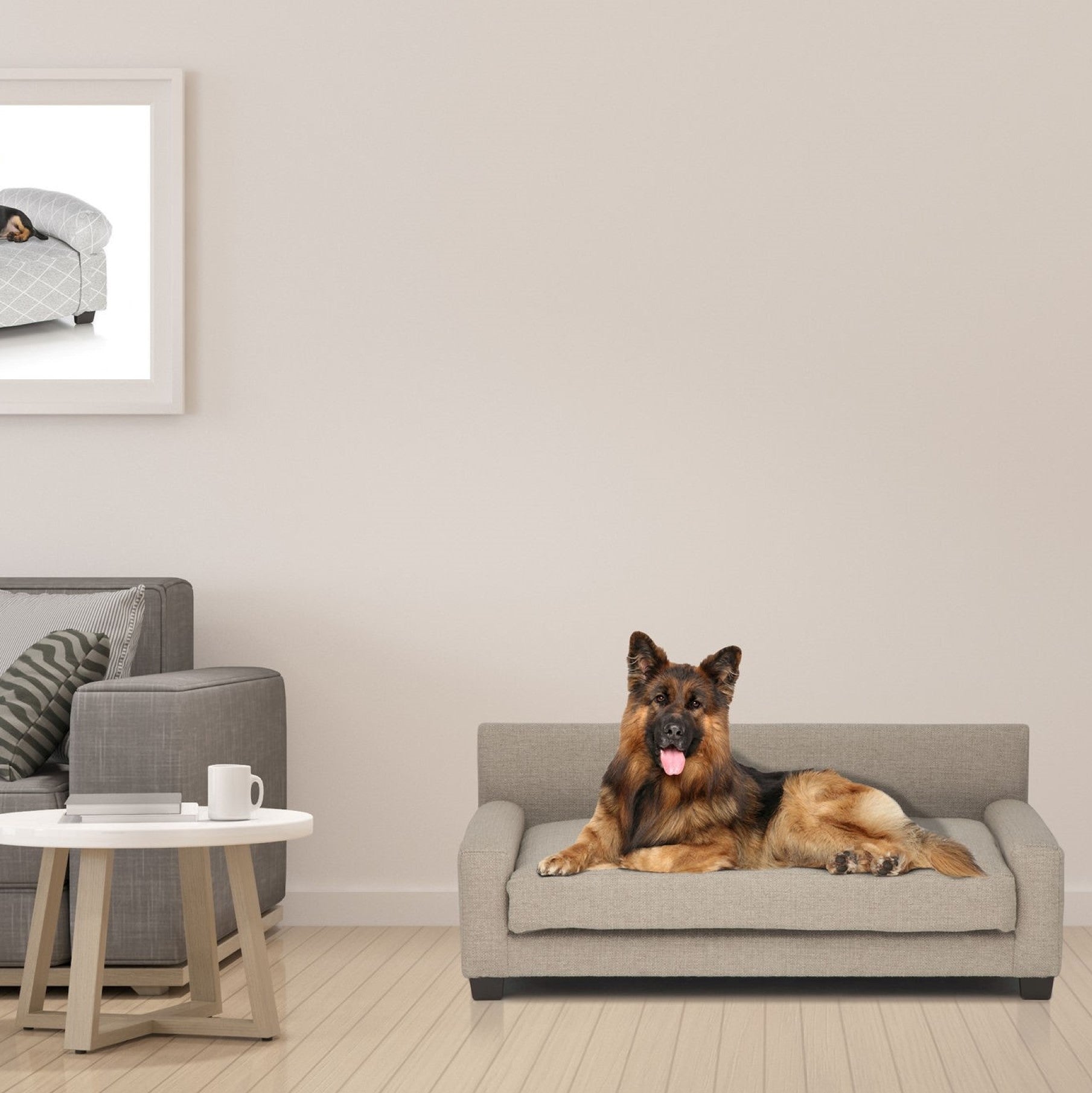 Club Nine Pets Metro Orthopedic Dog Bed， Large， Oatmeal.