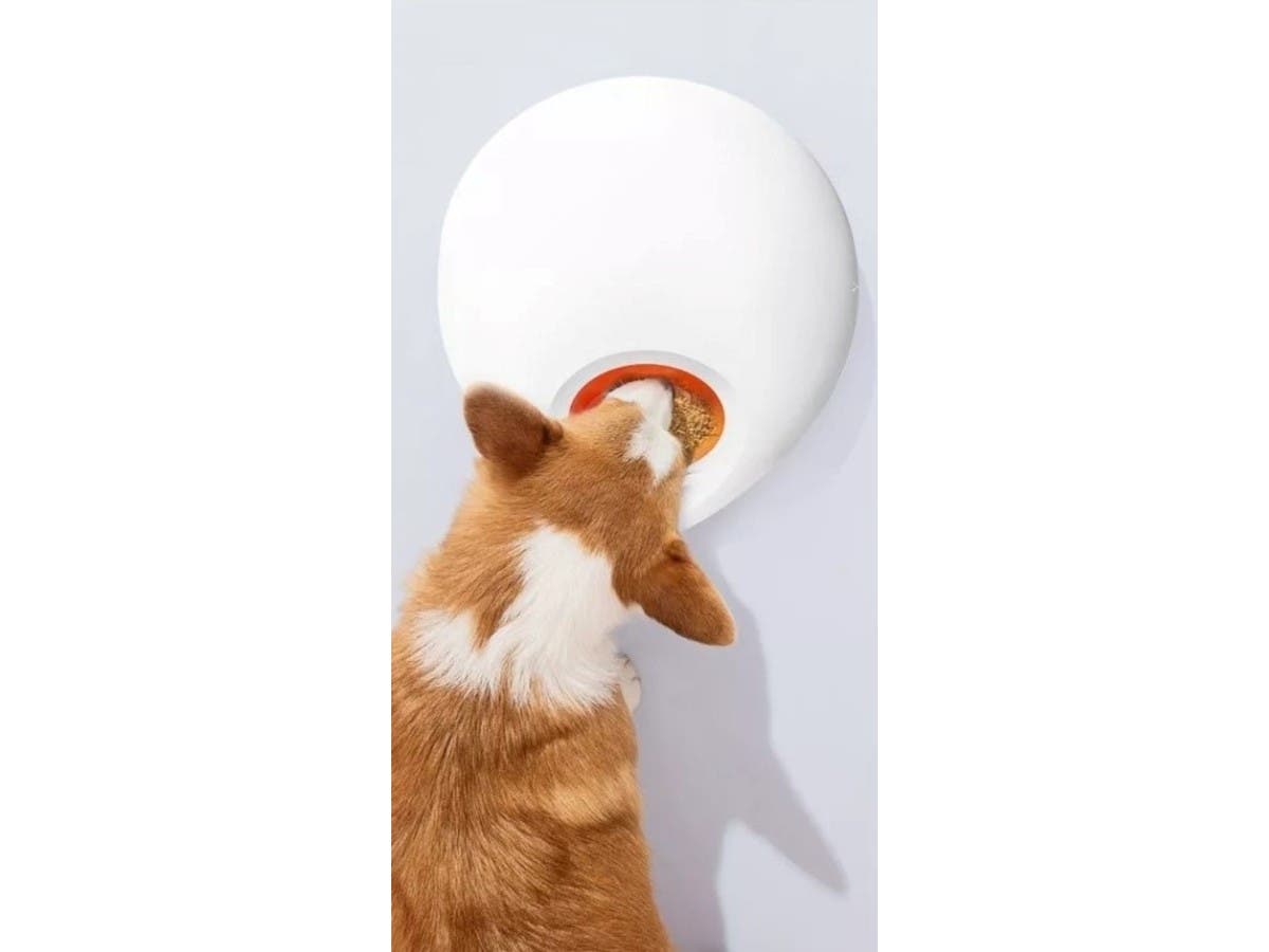 MPM 5 Meal Automatic Wet and Dry Food Pet Feeder， WiFi Feeder with APP Control， Auto Dispenser for Cat and Small and Medium Dog， Batteries and USB Power Supply