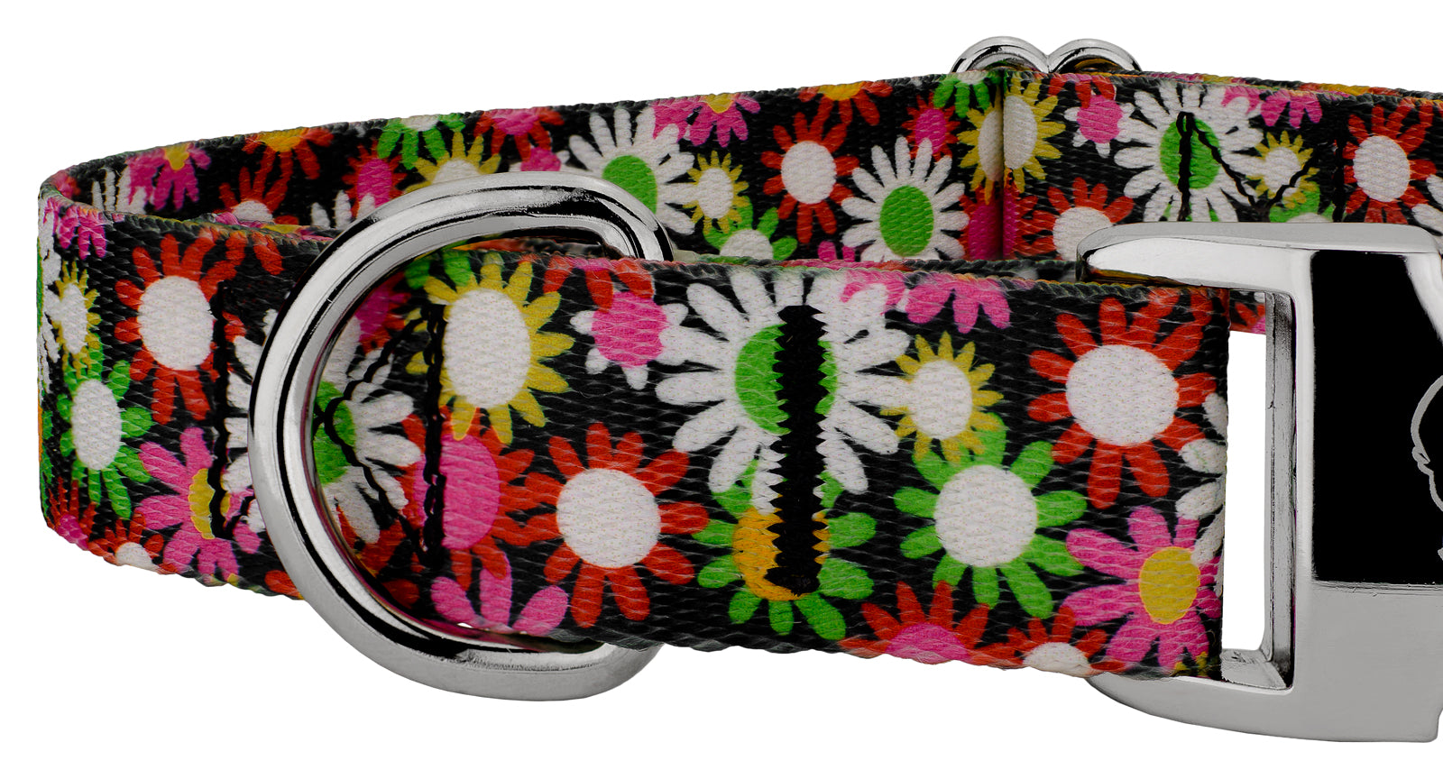 Country Brook Petz® Premium Daisy Fields Dog Collar and Leash， Medium