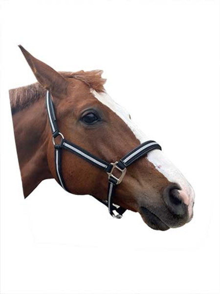 Comfort Padded Halter with Snap Pony Blue