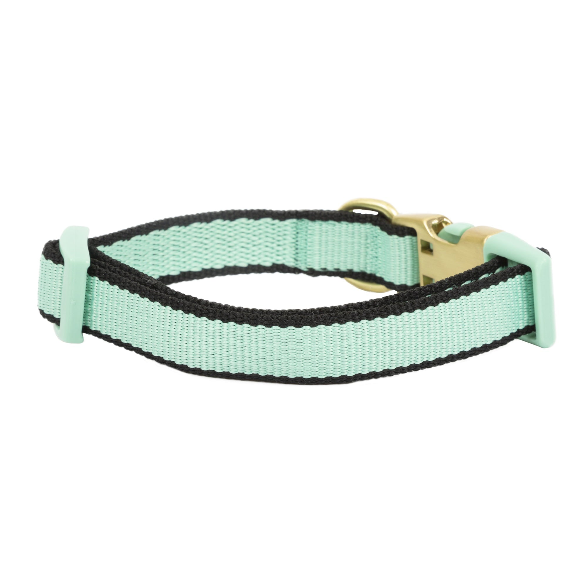 Vibrant Life Green Collar Bow Tie Slider Set for Dogs， Size XSmall