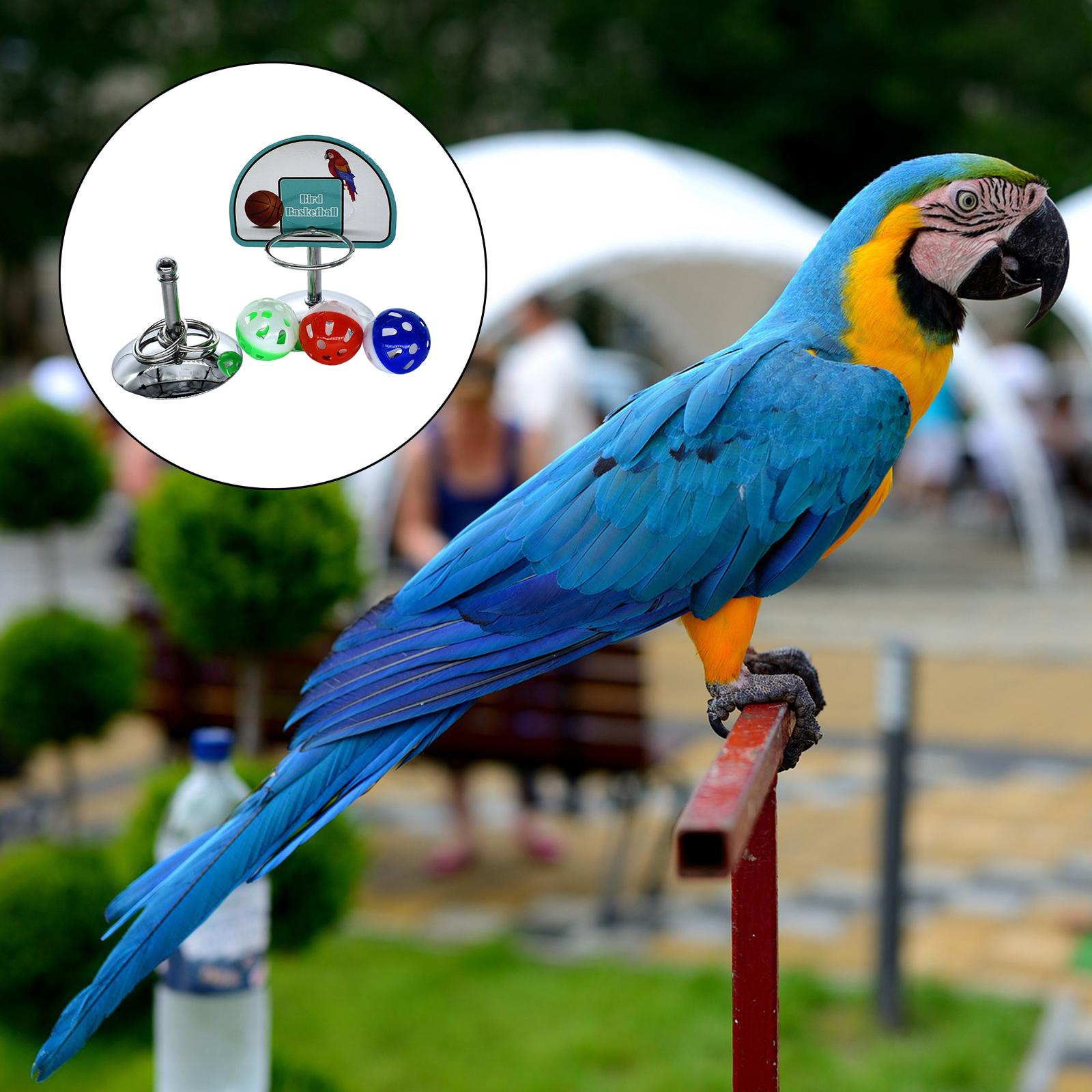 2Pcs/Set Parrot Toys Basketball Hoop W/Balls Rings Interactive Training Parakeet Lovebird Cockatiels Tabletop