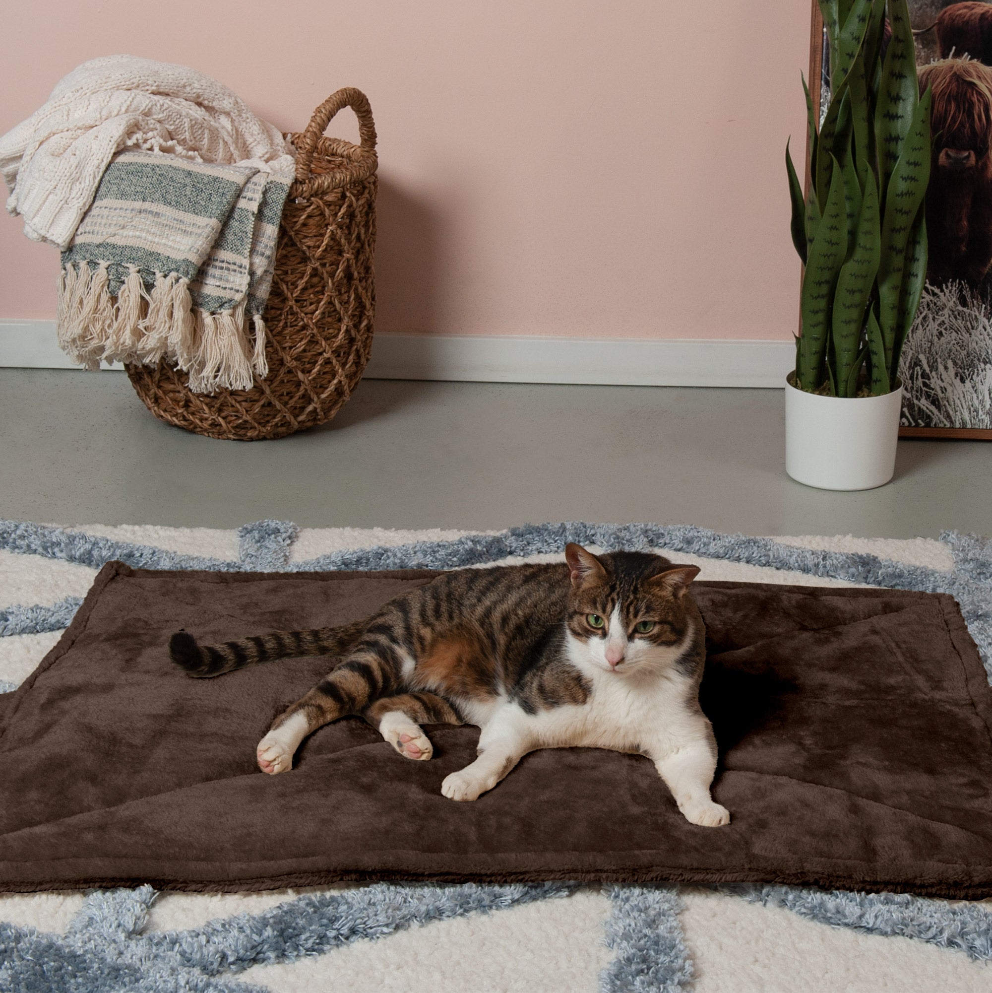 FurHaven Pet Heating Pad | ThermaNAP Faux Fur Self-Warming Pet Bed Mat， Espresso， Large