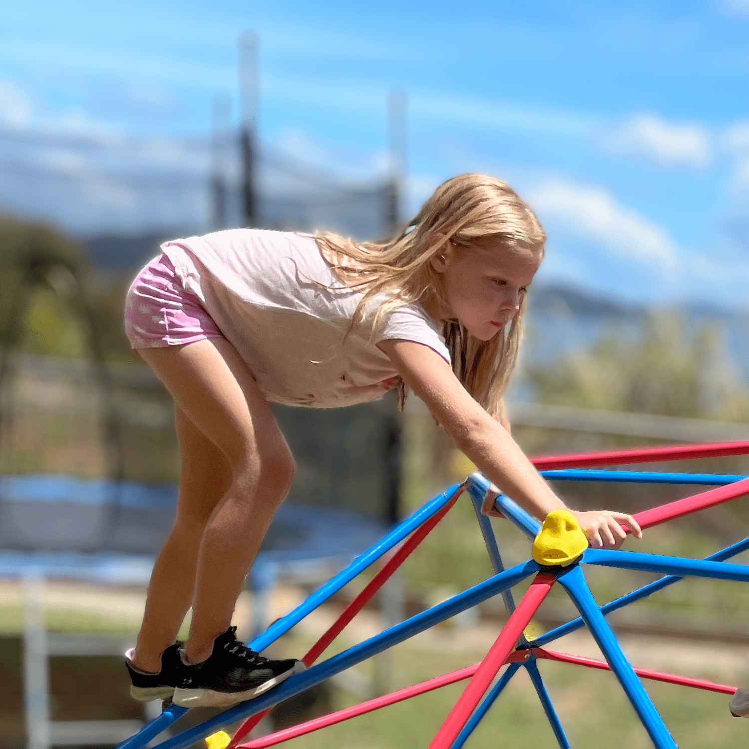 The Bubble Factory 10 ft Steel Climbing Dome For Kids - 10' x 5'