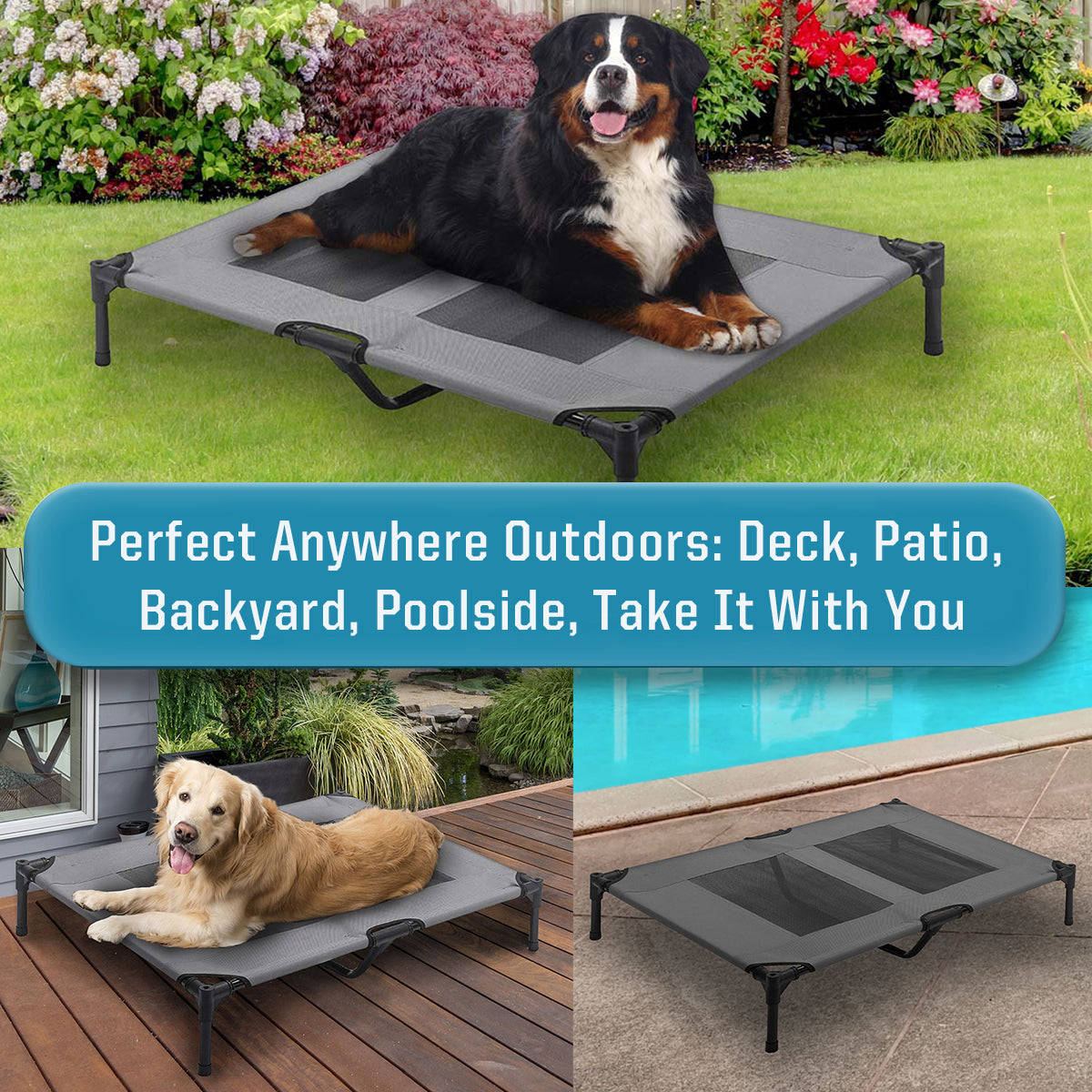 Arlee Rectangle Pet Dog Cot - Cooling Air Flow - Elevated - Weather Resistant - Chew Resistant - Supportive 150lbs - Small/Medium/Large/Extra Large (choose your color)