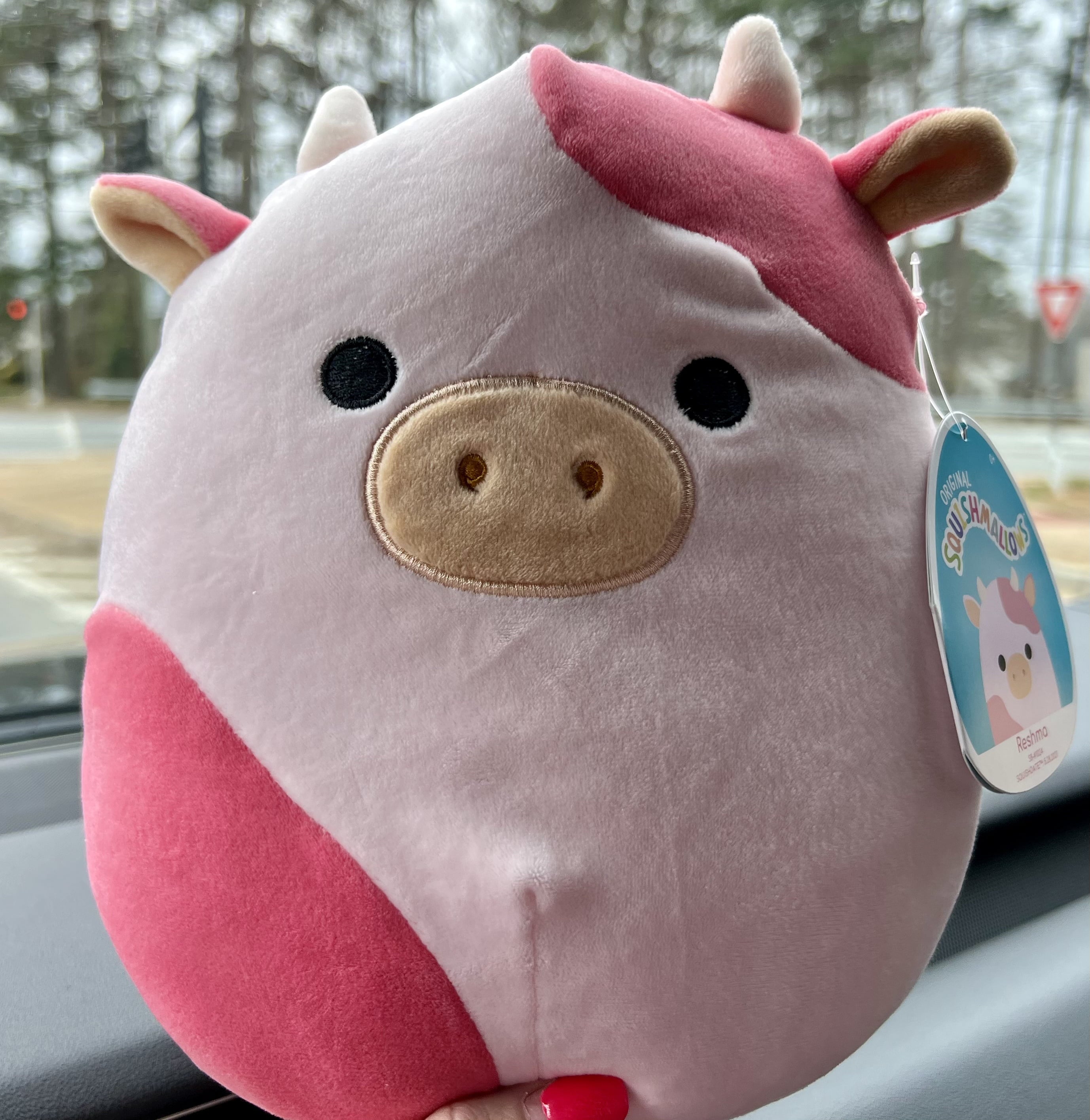 Squishmallows Official Kellytoy Plush 8