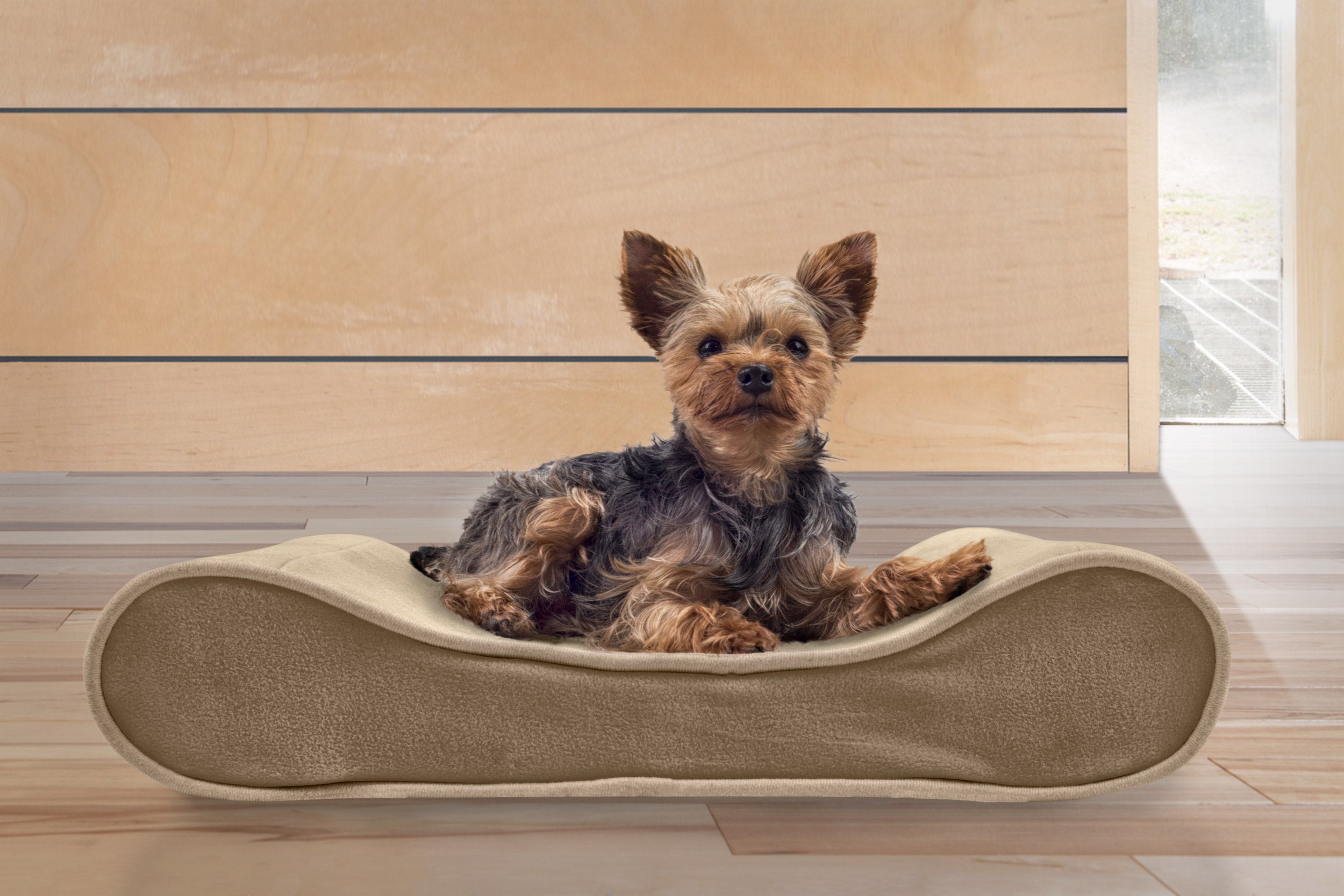 FurHaven Pet Dog Bed | Orthopedic Microvelvet Luxe Lounger Pet Bed for Dogs and Cats， Clay， Small