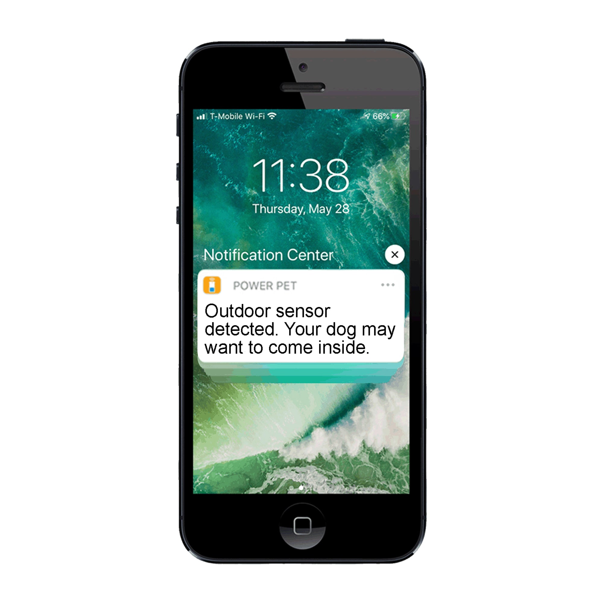 High Tech Pet PX-2 - Large Opening Power Pet Door for Wall Installations - Wi-Fi Smartphone Controlled