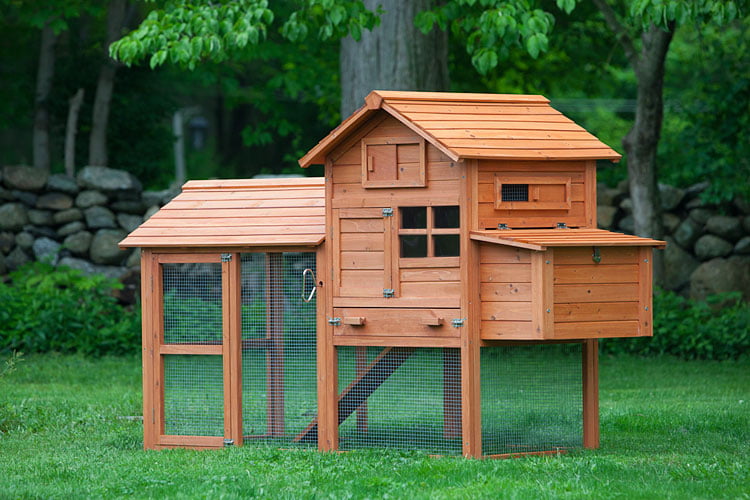 All in one chicken coop with hardware cloth floor-The Clubhouse for up to 4 chickens