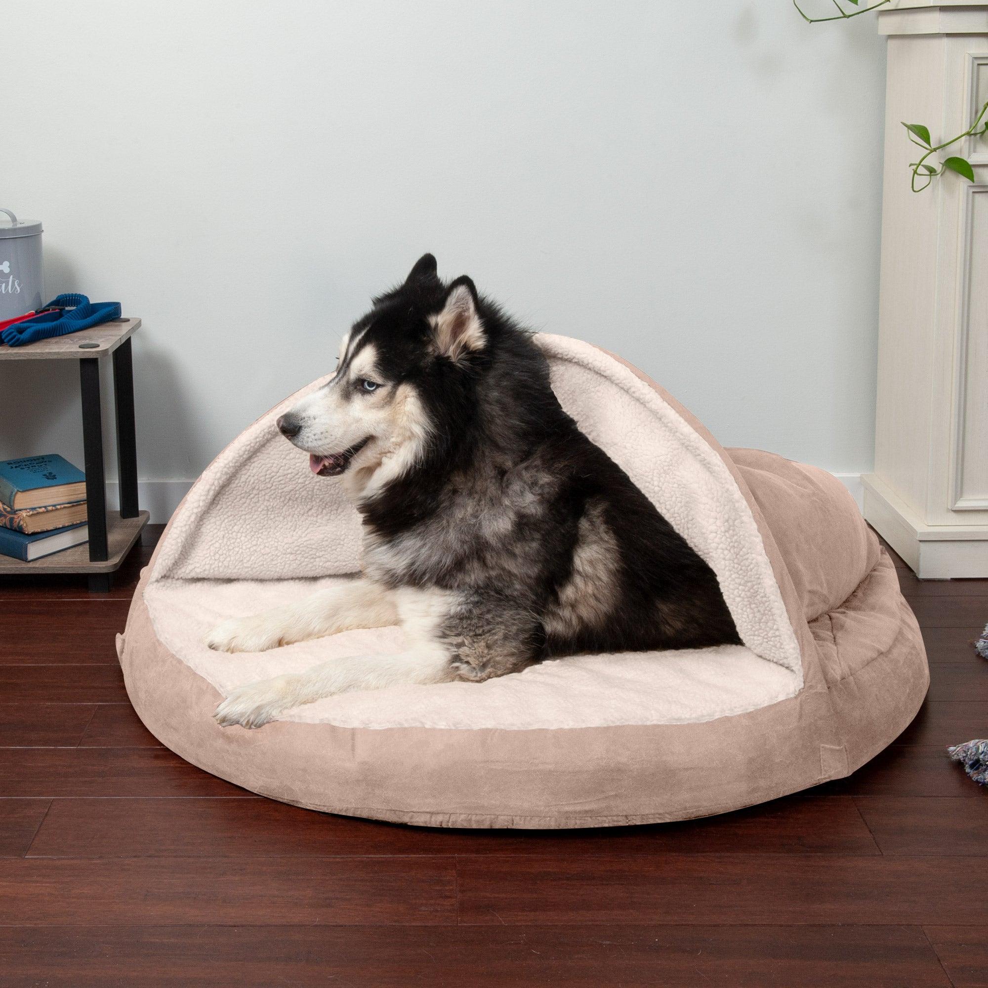 FurHaven | Memory Foam Faux Sheepskin Snuggery Burrow Pet Bed for Dogs and Cats， Cream， 44-Inch