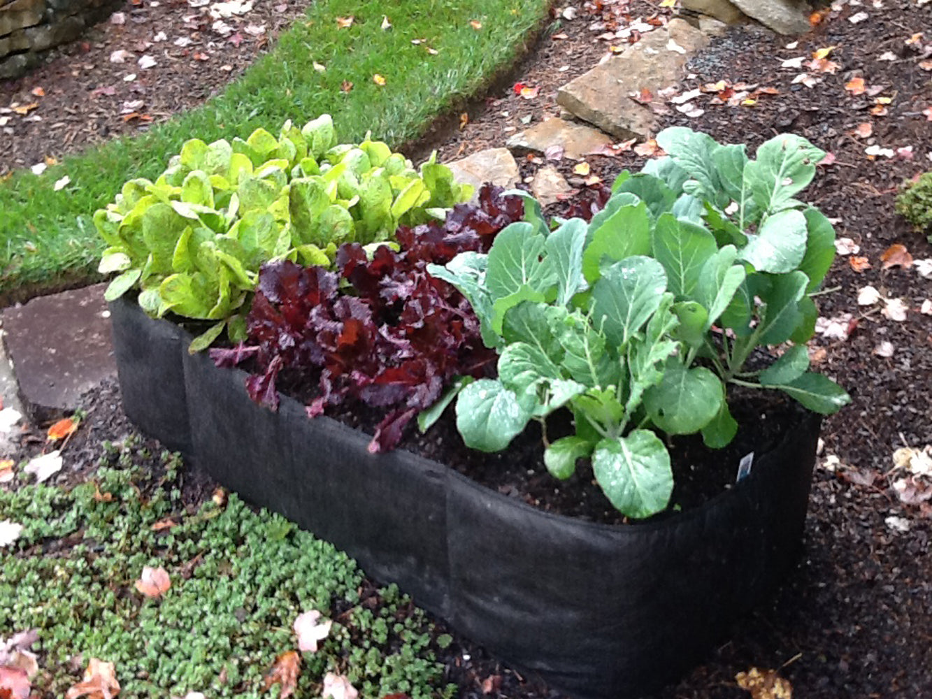 2'x4' EZ-Gro Garden Fabric Raised  Garden Instant Bed by Victory 8 Garden