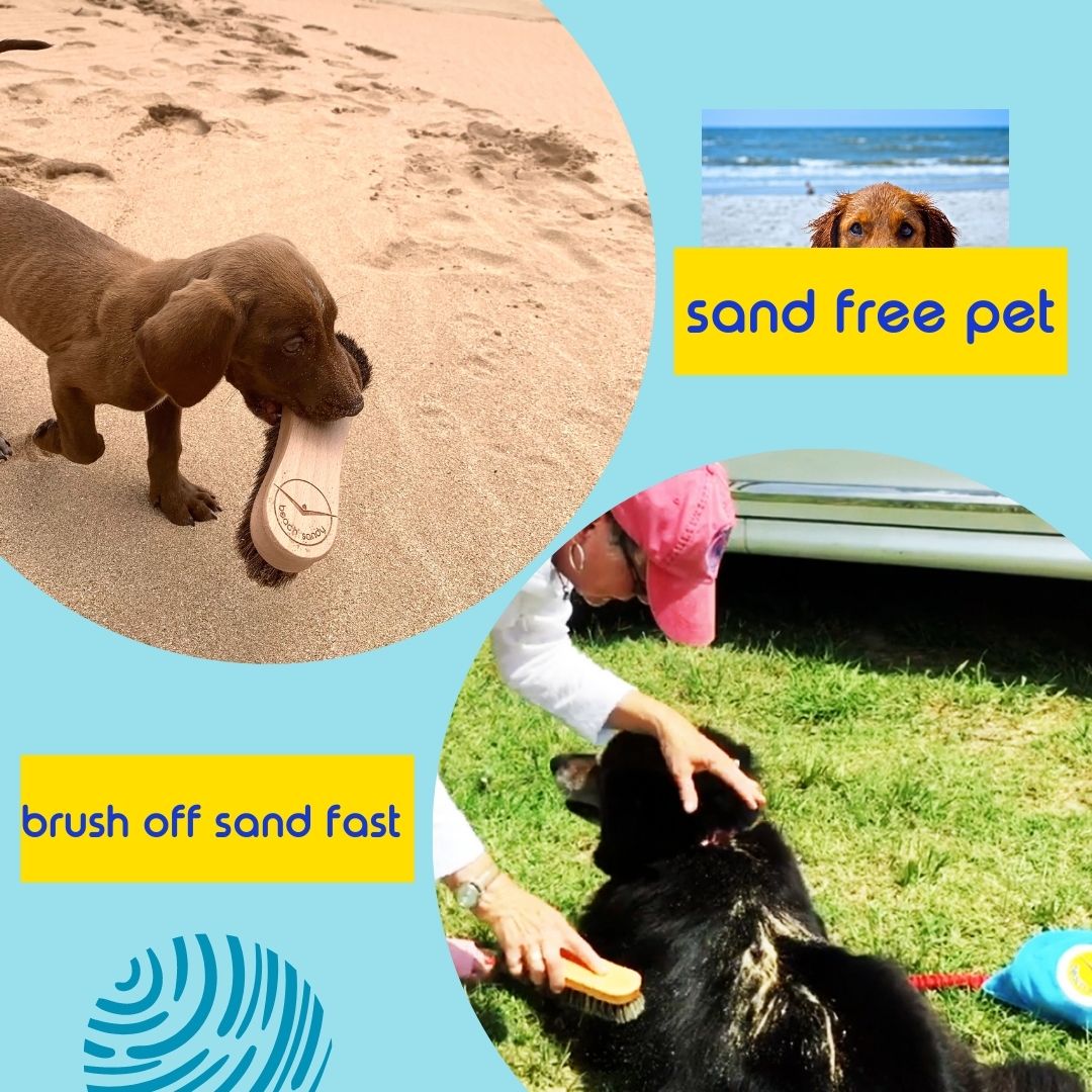 Beach Sandy - Set of 2 Sand Remover for Beach, Sand Brush for Beach Feet - Eco Friendly