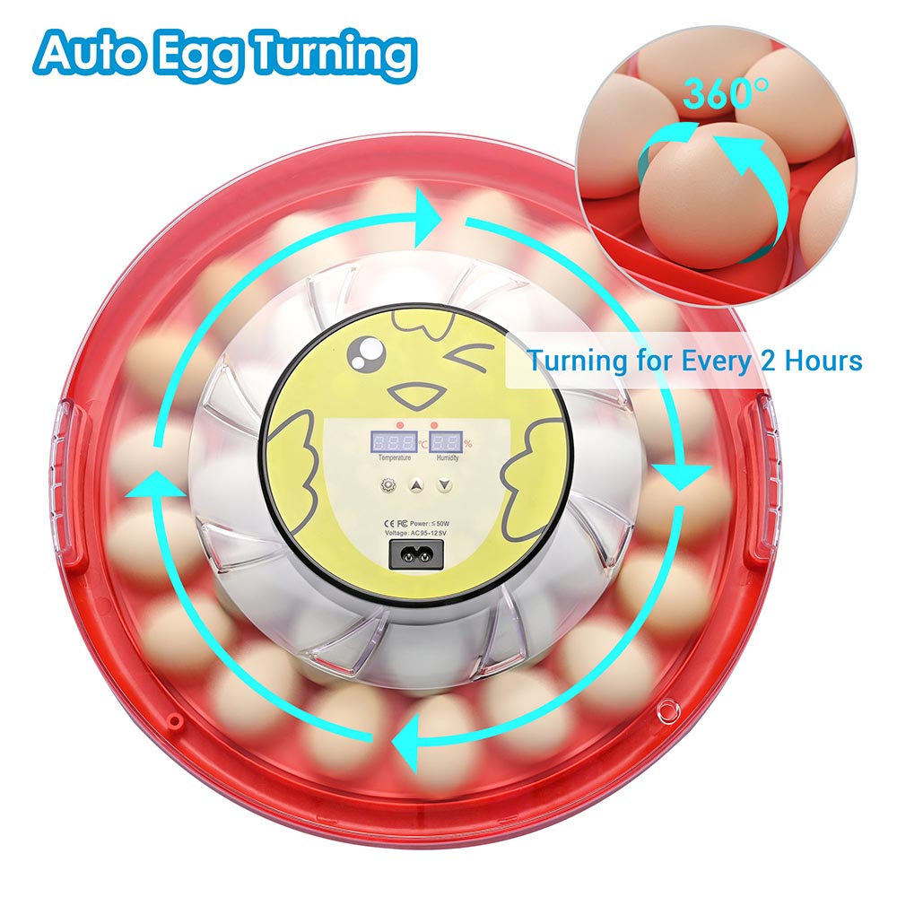 Yescom 30 Egg Incubator Auto Turning Temper Humidity Display
