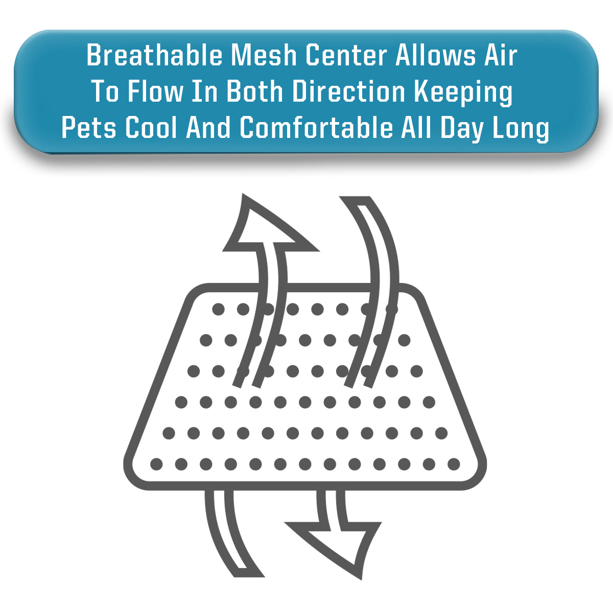 Arlee Rectangle Pet Dog Cot - Cooling Air Flow - Elevated - Weather Resistant - Chew Resistant - Supportive 150lbs - Small/Medium/Large/Extra Large (choose your color)