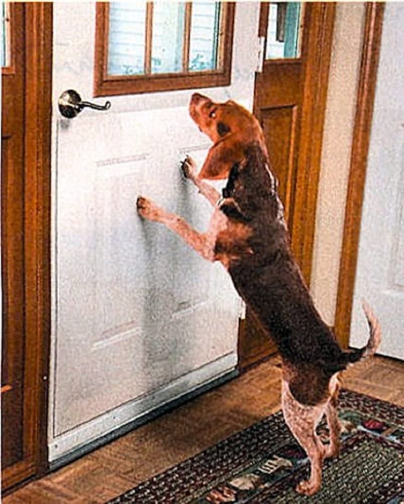Large Vinyl Door Guard for Dog Scratching - 33