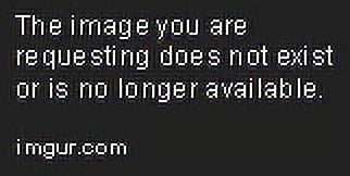 Club Nine Pets Metro Orthopedic Dog Bed， Medium， Oatmeal