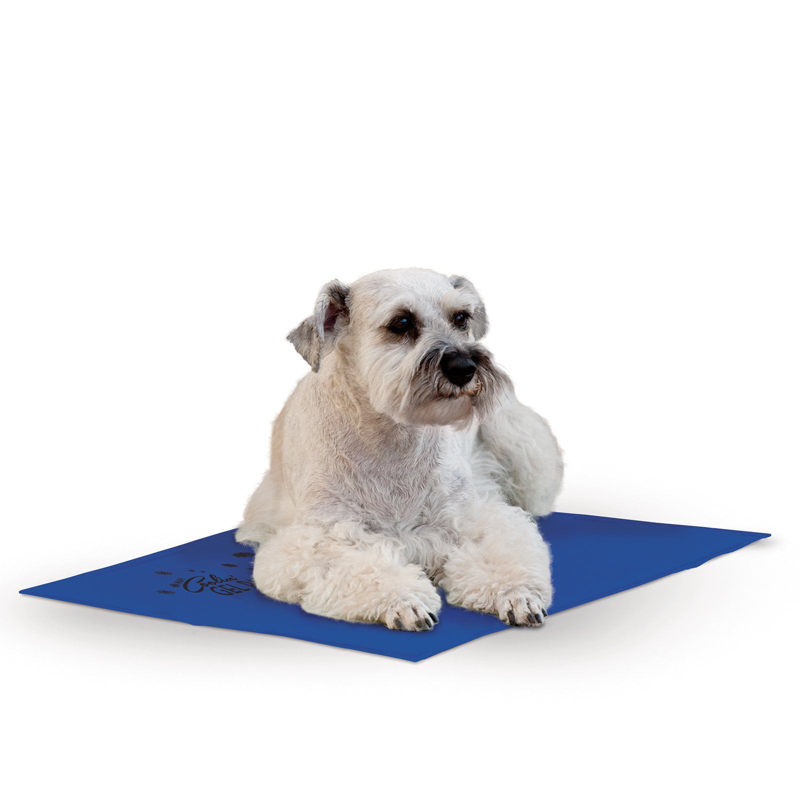 KandH Pet Products Coolin' Pet Pad， Medium， Blue